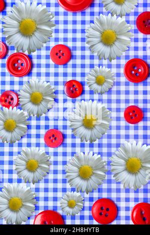 romantic flowery background with red buttons, daisy flowers, sunflowers over blue cubes like floral summer concept Stock Photo