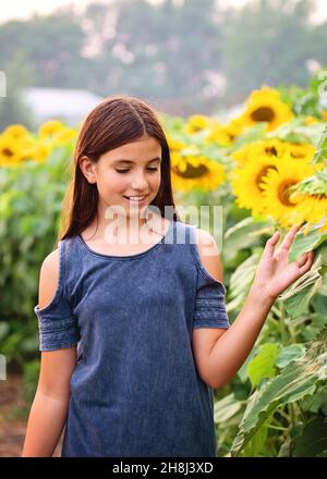 Happy tween girl in a sunflower field. Stock Photo