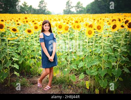 Happy tween girl in a sunflower field Stock Photo - Alamy