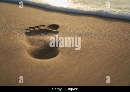 Big footprint on the sandy beach. Water edge of the sea. Depth of field. Stock Photo