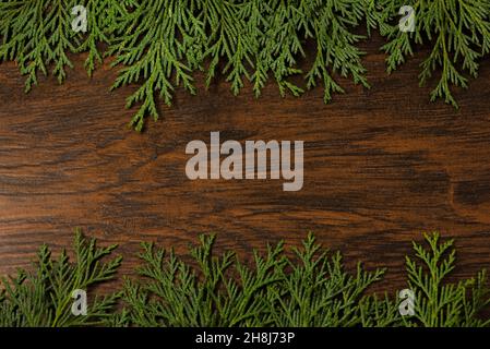 Creative layout frame, greetings card, made of Christmas branches Stock Photo