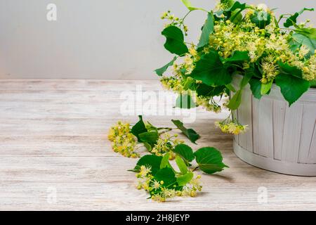 Linden flowers in a white basket on a white background. Linden flower tea. Stock Photo