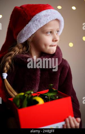 A brooding Christmas girl in Santa's red cap holds a red box of tangerines. Stock Photo