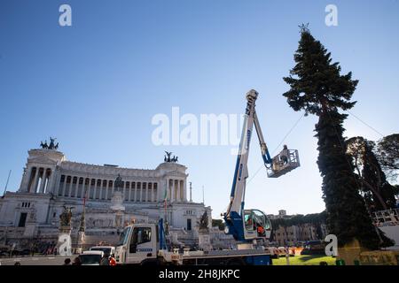 Rome, Italy. 30th Nov, 2021. Workers set up Christmas Tree in Piazza venezia in Rome (Photo by Matteo Nardone/Pacific Press) Credit: Pacific Press Media Production Corp./Alamy Live News Stock Photo