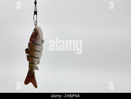Bait fish on a hook used for fishing in the ocean Stock Photo - Alamy
