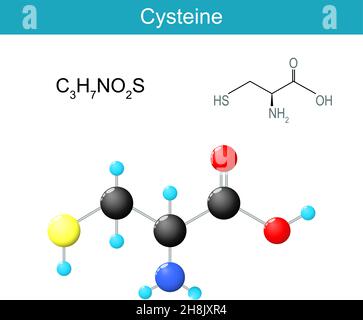 Glycine molecular formula. Chemical structural formula and model of a proteinogenic nonessential amino acid. E920. Vector illustration Stock Vector
