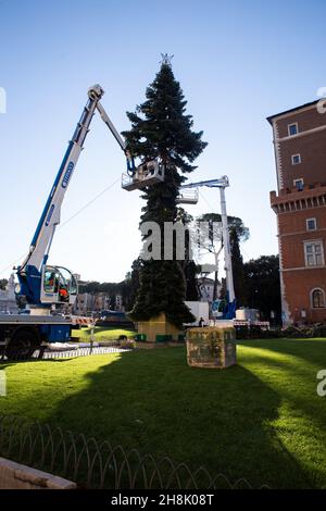 Rome, Italy. 30th Nov, 2021. Workers set up Christmas Tree in Piazza venezia in Rome (Credit Image: © Matteo Nardone/Pacific Press via ZUMA Press Wire) Stock Photo