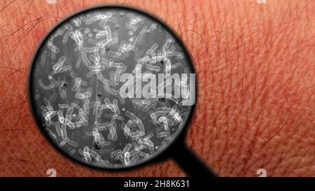 Searching for bacteria on human skin Stock Photo