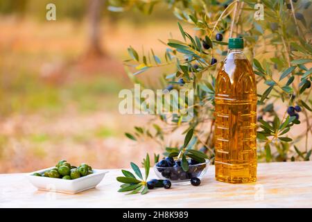 Olive oil in bottle on garden table Stock Photo