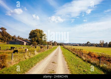 Lilydale to Warburton Rail Trail in Australia Stock Photo