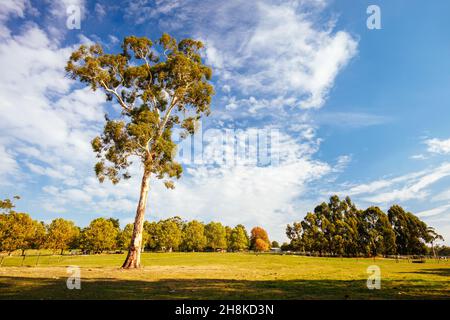 Lilydale to Warburton Rail Trail in Australia Stock Photo