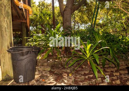 Rain water barrel in the garden collecting rain water Stock Photo