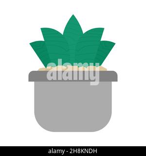 Succulent plant pot in a white background. Isolated. Stock Vector