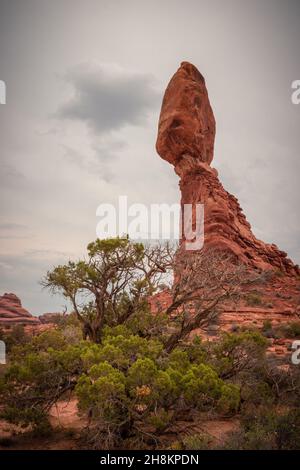 Beautiful View of Red Rocks and storm clouds in the sky in the foreground a dead tree, Arches National Park, Utah, USA Stock Photo