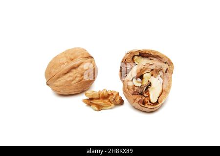 Walnuts whole and opened isolated on white background. Stock Photo