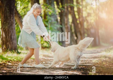 Young woman trains dog with golden retriever to follow command to sit and catch stick in summer park. Stock Photo