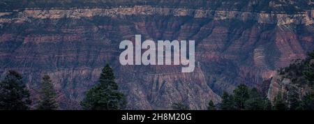 Panorama Photo Perfect Colored Canyon and Pine Lines, Cloudy Sky Background Grand Canyon National Park, Arizona, USA Stock Photo