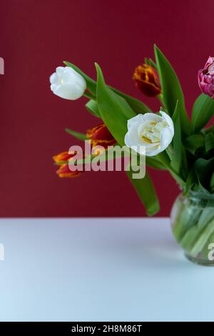 Mix of spring tulips flowers. Bouquet in a vase. Multi-colored spring flower. Gift. Red, pink, white and yellow. Background with flowers tulips close-up different colors. Stock Photo