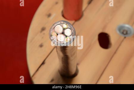 The cross-section of a tree conductor wire power cable. A close-up of a 3 conductor durable flexible copper wire cable. Stock Photo