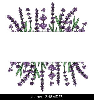 Floral frame with lavender flowers. Vector hand drawn illustration, isolated on white background Stock Vector