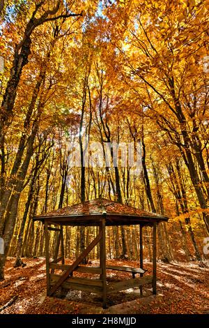 Kiosk in the forest of Mamali, in Antichasia mountains, close to  Verdikoussia village, Larissa, Thessaly, Greece. Stock Photo