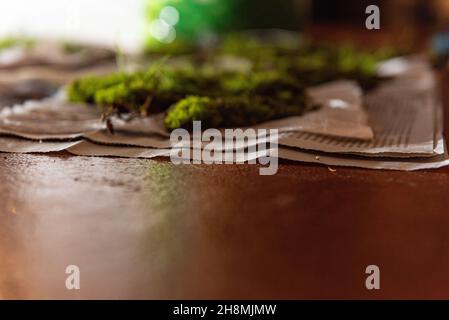 ornaments and figurines of the christmas portal. christmas concept Stock Photo