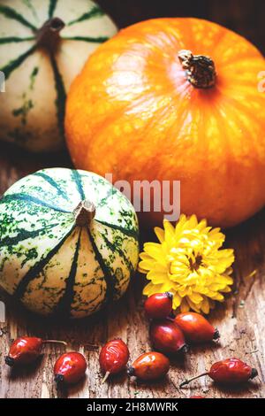 Autumn harvest festival. Pumpkin, gourd, rose hip and dried flower decoration. Thanksgiving day or Halloween greeting card. Fall season still life Stock Photo