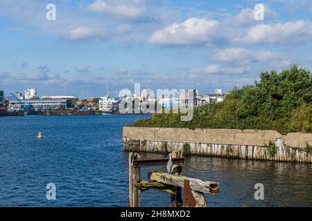 View of Cardiff Bay from the barrage showing buildings on the Waterfront and a heron in the very front Stock Photo