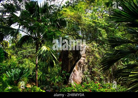 Mont Fleuri Botanical Gardens, Mahe, Seychelles, Victoria, Mahe, Seychelles Stock Photo