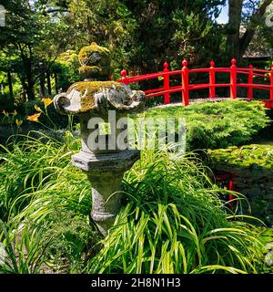 Japanese Garden with Stone Lantern and Red Bridge, Irish National Stud, Tully, Kildare, Ireland Stock Photo