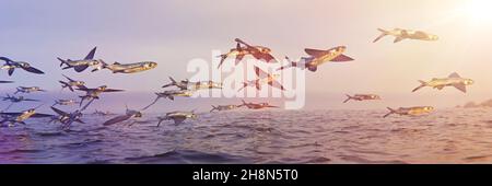 flying fish, school of Exocoetidae Stock Photo