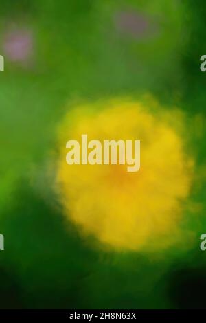 Abstract blurred background, blurred background effect. Stock Photo