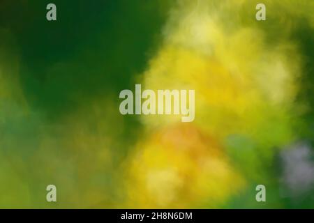 Abstract blurred background, blurred background effect. Stock Photo