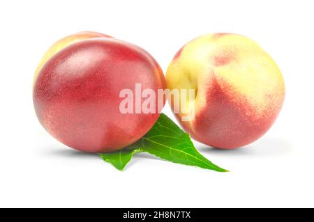 Two ripe nectarines with green leaves over white background Stock Photo