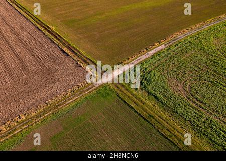 Aerial view of a paved path and a farm road that form a cross between fields Stock Photo