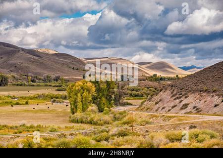 Muddy Ridge, Smiths Fork drainage, Clark Ranch area, State Highway 232, near Cokeville, Wyoming, USA Stock Photo