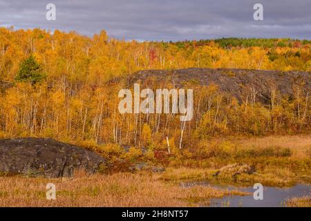 Sudbury Basin