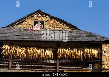 Ears of corn hanging out to dry under the eaves of a traditional farm house in Bandipur, Nepal. Stock Photo