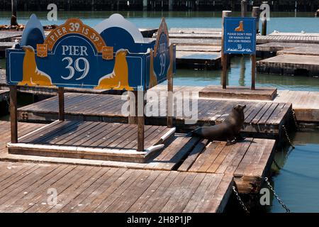 San Francisco, USA-June 20, 2017: Many tourists visiting the famouse Pier 39 in San Francisco Stock Photo