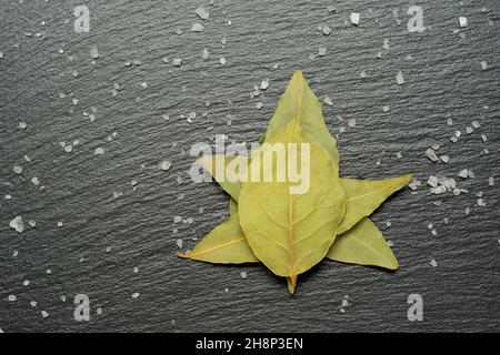 Spice. Bay leaves on a slate background with sea salt Stock Photo