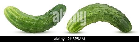 Two fresh cucumber isolated on white background. Clipping Path. Full depth of field. Stock Photo