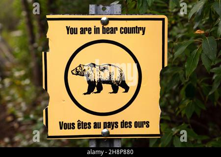 Sign warning of bears at a trailhead within Kluane National Park and Reserve in the Yukon, Canada. Stock Photo