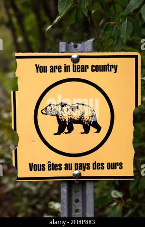 Sign warning of bears at a trailhead within Kluane National Park and Reserve in the Yukon, Canada. Stock Photo