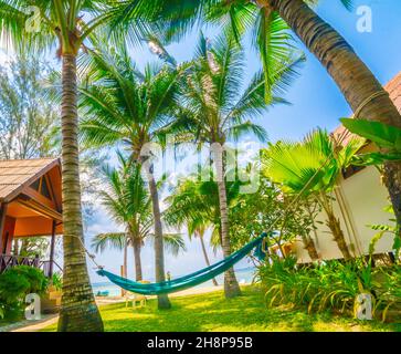 Beautiful beach. Hammock between two palm trees on the beach. holiday and vacation concept Stock Photo