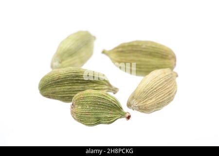 Cardamom isolated on white background Cardamom, nuts, seeds, core, aroma, several, green, whole, background, dry Stock Photo