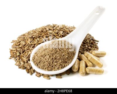 Dried Pickled Thistle Seeds with Powder and Capsules. Bitter Substance isolated on white Background. Stock Photo