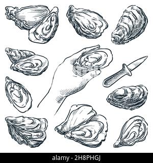 Oysters collection isolated on white background. Oyster knife and human hand holding open mussel. Hand drawn vector sketch illustration. Restaurant me Stock Vector