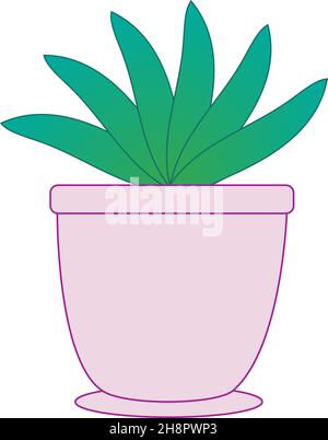 Aloe vera succulent plant in a pot - Illustration Stock Vector