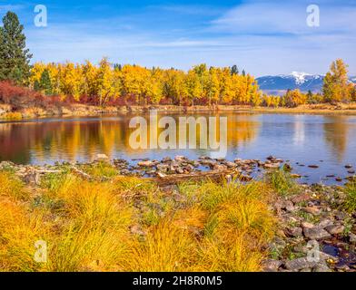 fall colors along the bitterroot river near missoula, montana, with the snow bowl ski area in the distance Stock Photo