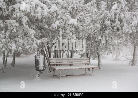 bench under the snow near snowy trees. Empty bench in forest under snow in winter Stock Photo